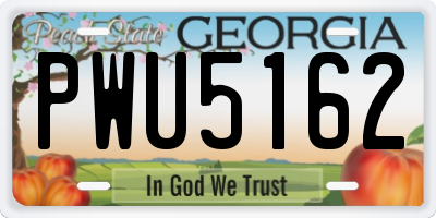 GA license plate PWU5162