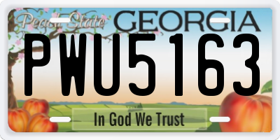 GA license plate PWU5163
