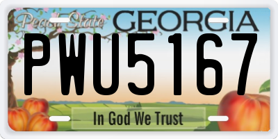 GA license plate PWU5167
