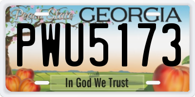 GA license plate PWU5173