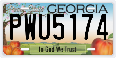 GA license plate PWU5174