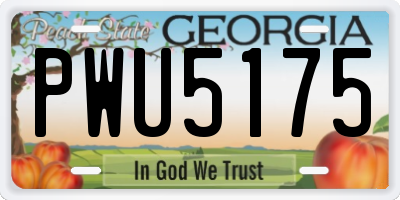 GA license plate PWU5175