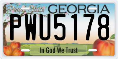 GA license plate PWU5178