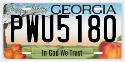 GA license plate PWU5180
