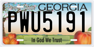GA license plate PWU5191