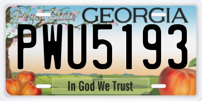 GA license plate PWU5193