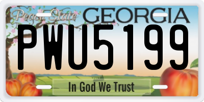 GA license plate PWU5199