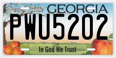 GA license plate PWU5202