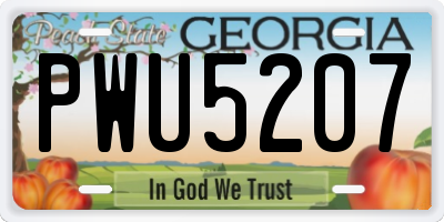 GA license plate PWU5207