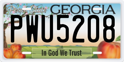 GA license plate PWU5208