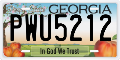GA license plate PWU5212
