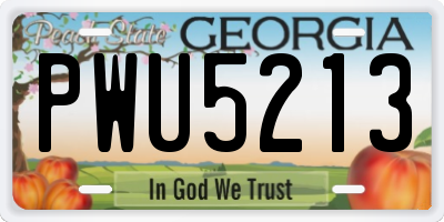 GA license plate PWU5213