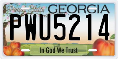 GA license plate PWU5214