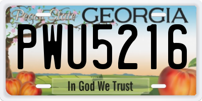 GA license plate PWU5216
