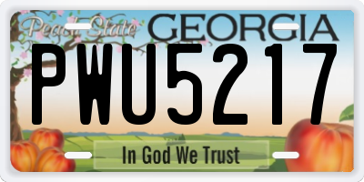 GA license plate PWU5217