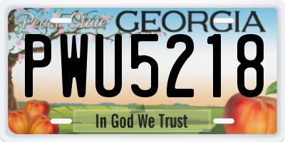 GA license plate PWU5218