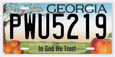 GA license plate PWU5219