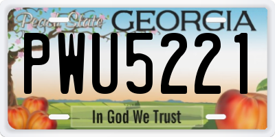 GA license plate PWU5221