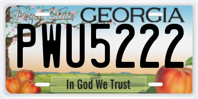 GA license plate PWU5222