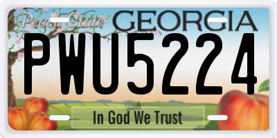 GA license plate PWU5224