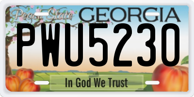 GA license plate PWU5230