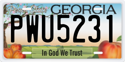 GA license plate PWU5231