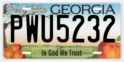 GA license plate PWU5232