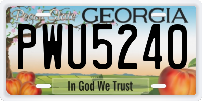 GA license plate PWU5240