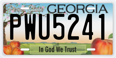 GA license plate PWU5241