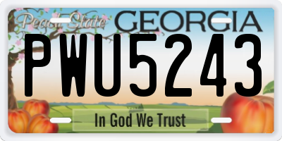 GA license plate PWU5243