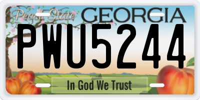 GA license plate PWU5244