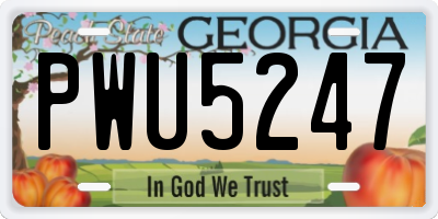 GA license plate PWU5247