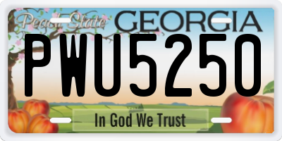 GA license plate PWU5250