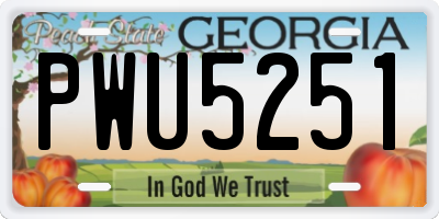 GA license plate PWU5251