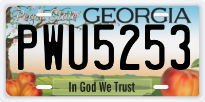 GA license plate PWU5253