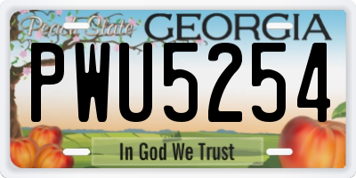 GA license plate PWU5254