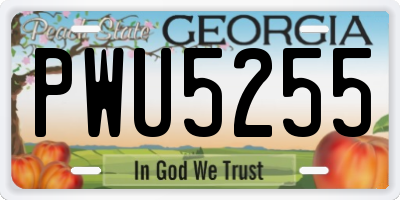 GA license plate PWU5255