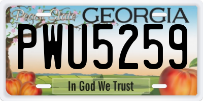 GA license plate PWU5259