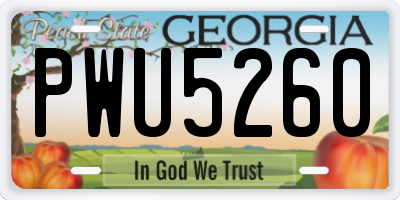 GA license plate PWU5260