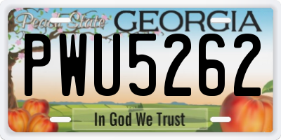 GA license plate PWU5262