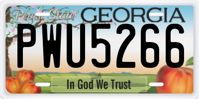 GA license plate PWU5266