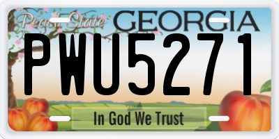 GA license plate PWU5271