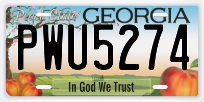 GA license plate PWU5274