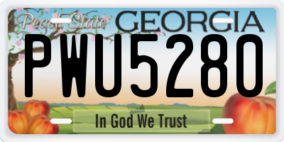 GA license plate PWU5280