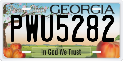GA license plate PWU5282