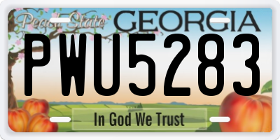 GA license plate PWU5283