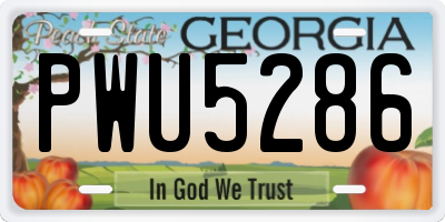 GA license plate PWU5286