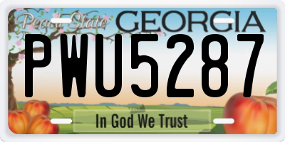 GA license plate PWU5287