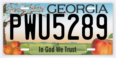 GA license plate PWU5289