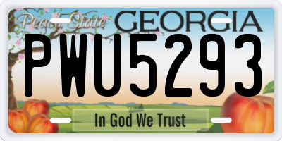 GA license plate PWU5293